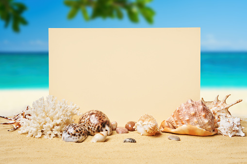 Blank paper with seashells and starfish on the sandy beach at ocean background. Summer time concept, vacation, card mockup with copy space