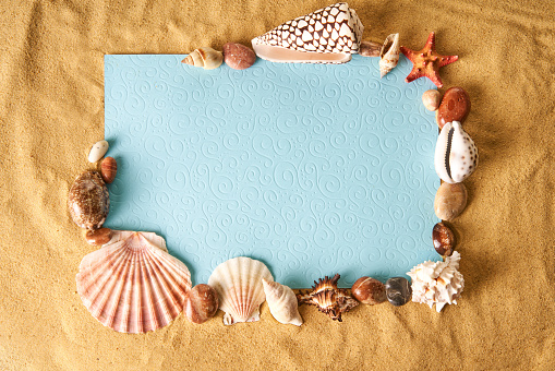 Invitation or greeting card mockup in frame of seashells and starfish on the ocean sandy beach background. Summer vacation concept, copy space. Flat lay, top view