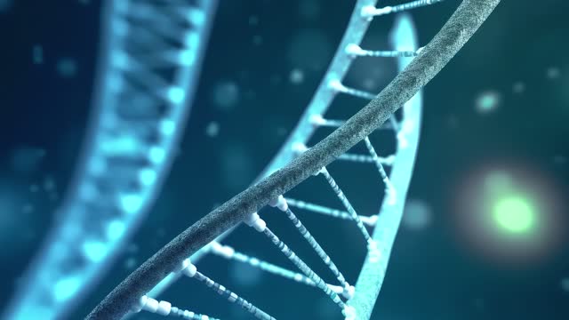 DNA chain, helix. Genetics. Concept animation of digital DNA.