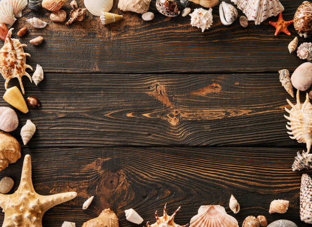istock Seashells and starfish frame on dark wooden background with copy space for text, sea vacation border 1487079067
