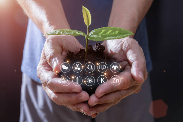 istock hands holding plant on soil. Seedlings and growing concept. 1487084135