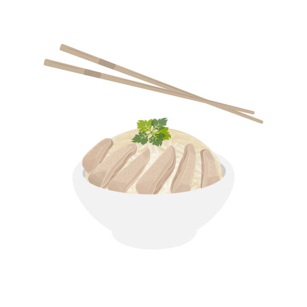 hainanese chicken rice eaten with chopsticks - 海南島 插圖 幅插畫檔、美工圖案、卡通及圖標