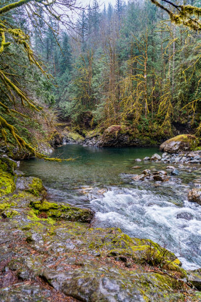 istock Snoqualmie River Near Falls  10 1487085767