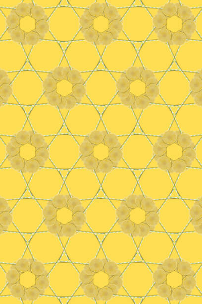 Creative photos of pineapple on a yellow background