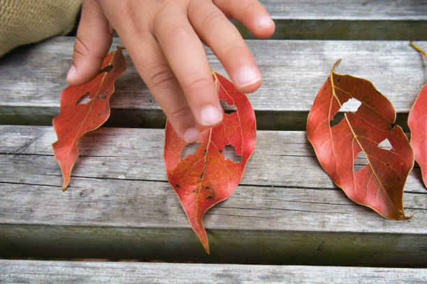 A cute toddler's hand and a deciduous monster with cut leaves