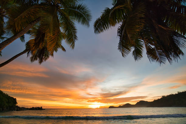 istock Sunset at takamaka beach behind the palm trees Mahe Seychelles 1487089545