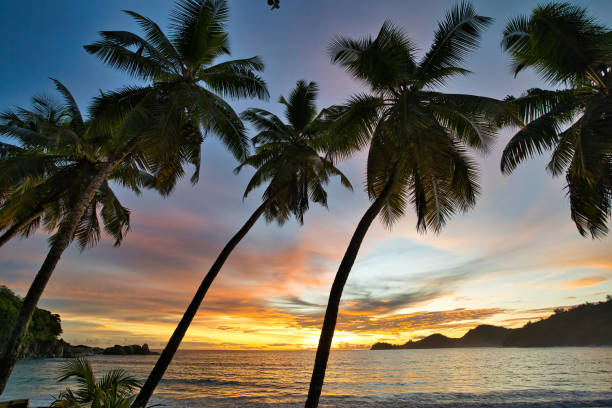 istock Sunset at takamaka beach behind the palm trees Mahe Seychelles 1487089668
