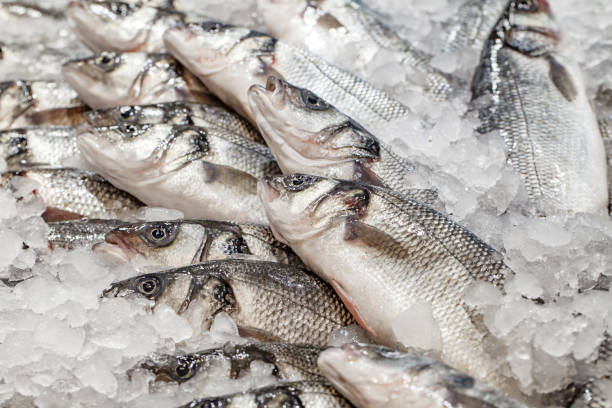 istock Fish raw fresh whole on ice at market, selective focus 1487089913