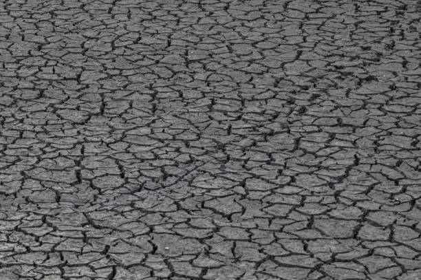 乾燥してヒビ割れた接地 - global warming drought riverbank dirt ストックフォトと画像