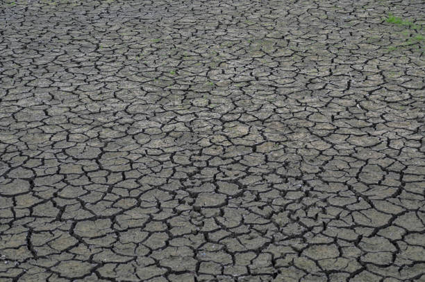 乾燥してヒビ割れた接地 - global warming drought riverbank dirt ストックフォトと画像