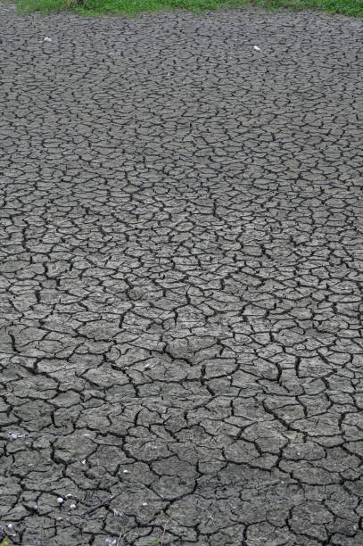 solo rachado seco - global warming drought riverbank dirt - fotografias e filmes do acervo