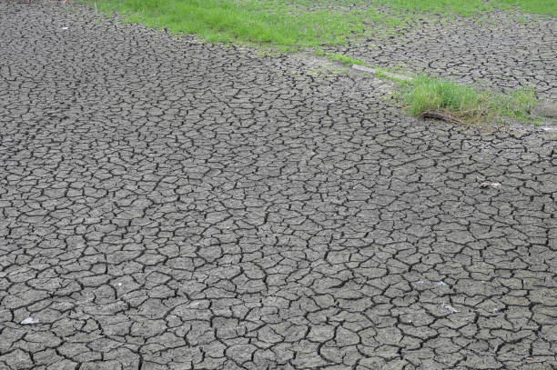 乾燥してヒビ割れた接地 - global warming drought riverbank dirt ストックフォトと画像