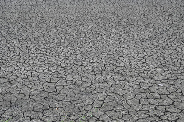 solo rachado seco - global warming drought riverbank dirt - fotografias e filmes do acervo