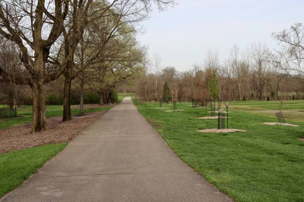 istock Walkway in the Countryside 1487093593