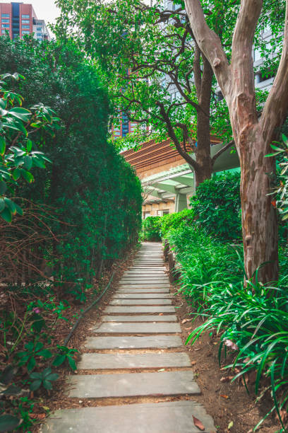 istock Empty footpath in office park in Tokyo 1487095329