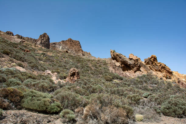 istock Fantastic rock formations in El Teide National Park on Tenerife, Spain 1487096280