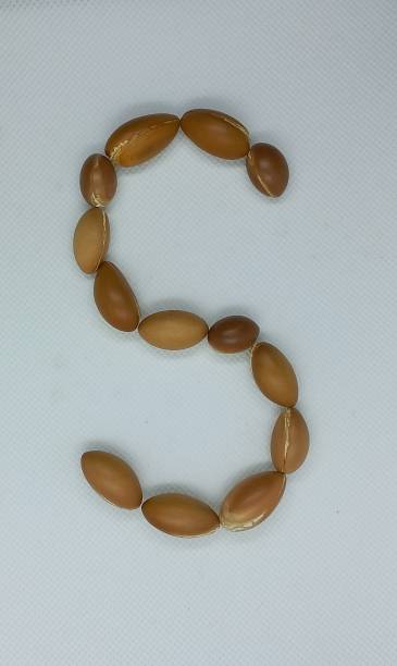 istock Argan seeds in the shape of the letter S 1487096383