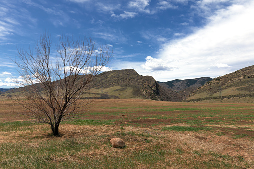 Open field with Dakota Hogback in the background with blue sky and cumulus clouds in spring