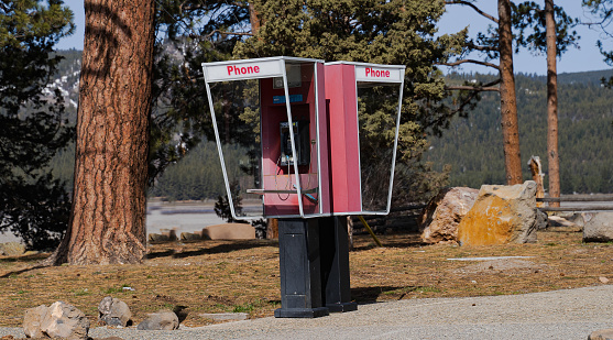 Red payphone surrounded by trees