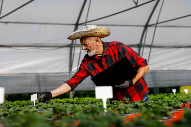 istock An older man with a straw hat inspects the progress of flowers using a laptop. 1487096665