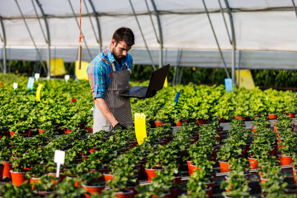 istock A young florist is working at the greenhouse while holding a laptop and analyzing flowers. 1487097067