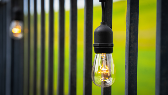 Light bulbs on a metal fence with green background