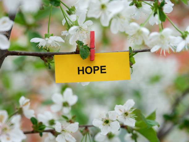 istock A yellow paper note with the word Hope on it attached to a branch with cherry blossoms on it with a clothes pin 1487099457