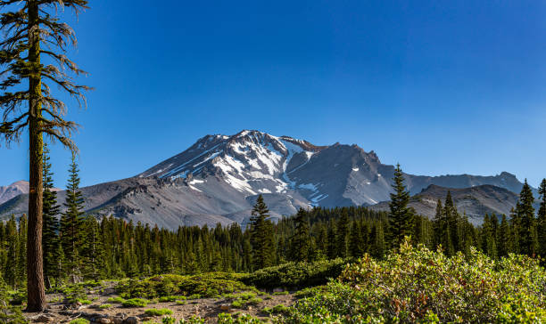 istock Mt. Shasta and Lakes 1487099785