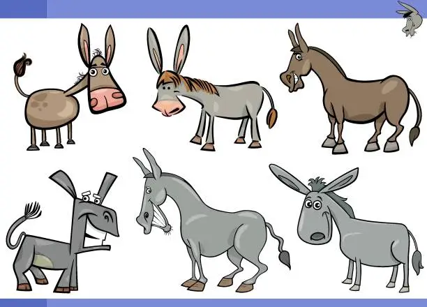Vector illustration of cartoon donkeys farm animals comic characters set