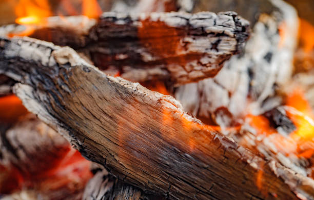 istock Wood burning in the barbecue, embers smoldering, selective focus 1487100404