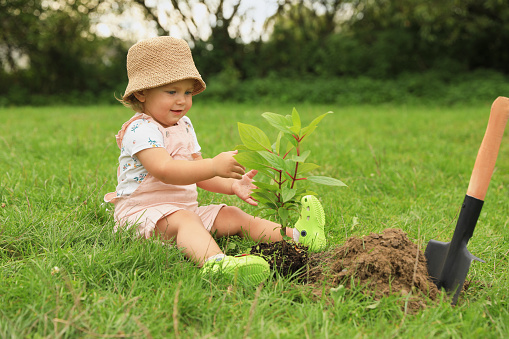 Cute baby girl planting tree in garden