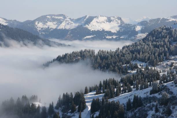 istock Tranquil winter scene of a snow-covered valley, with tall trees and clouds hovering over 1487103383