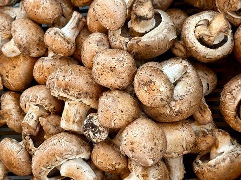 Cremini Mushrooms