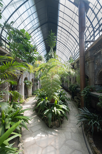 Created in the early 19th century as a winter garden, today it is a micro-environment housing exotic plants and botanical rarities. Restored in