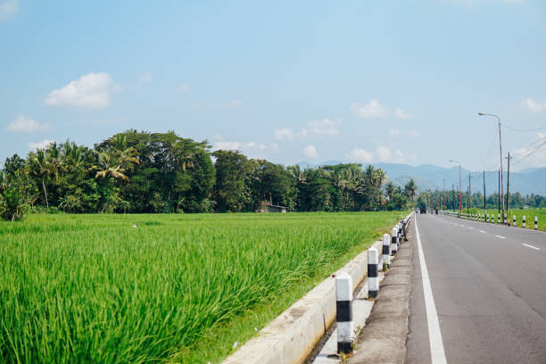 istock Roads and fields in Indonesia 1487115482