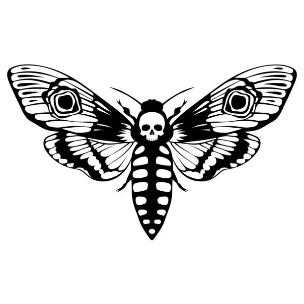 90+ Silhouette Of Skull With Wings Tattoo Illustrations, Royalty-Free ...