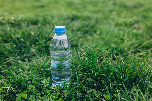 Transparent plastic water bottle in the green grass. Waste, pollution and recycling concept
