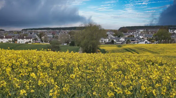 Photo of Fields at Duffus