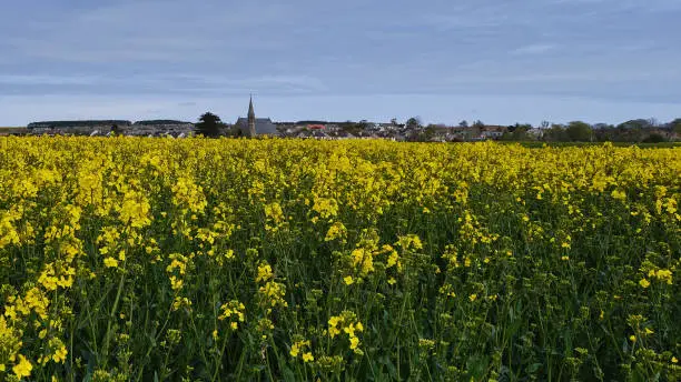 Photo of Fields at Duffus