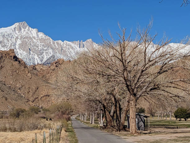 blick auf den mt. whitney von lone pine, kalifornien, mit starker schneedecke auf den bergen der sierra nevada und den trockeneren roten alabama hills weiter unten - snowpack stock-fotos und bilder