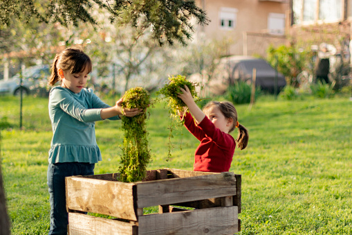 Happy little girls throws the leaves into the wooden compost bin in the backyard