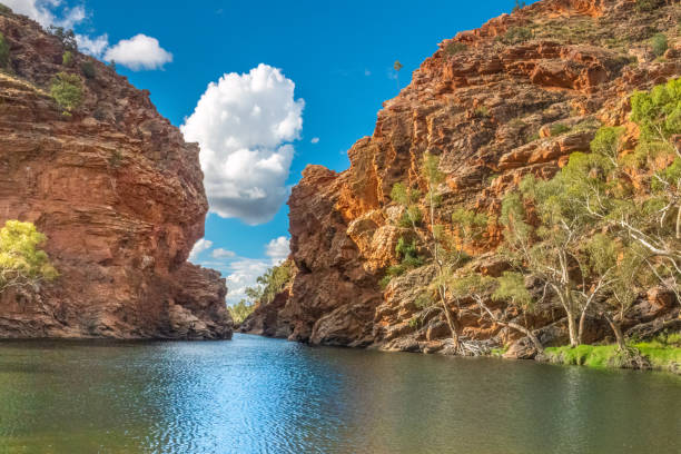 ellery creek big hole,
espectacular pozo de agua, parque nacional west macdonnell, macdonnell ranges (tjoritja) territorio del norte, australia - ellery creek fotografías e imágenes de stock