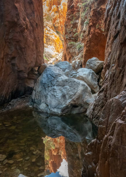 standley chasm, larapinta trail, park narodowy west macdonnell, macdonnell ranges (tjoritja) terytorium północne, australia - west macdonnell ranges national park zdjęcia i obrazy z banku zdjęć