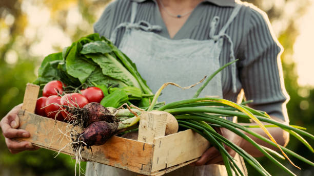 istock Farmer woman holding vegetable crate 1487131691