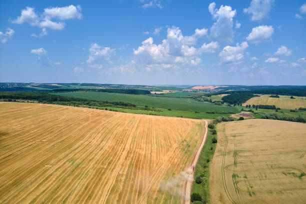 vista aerea del camion merci che guida su strada sterrata tra campi di grano agricolo che fa molta polvere. trasporto del grano dopo essere stato raccolto dalla mietitrebbia durante la stagione del raccolto - semi truck foto e immagini stock