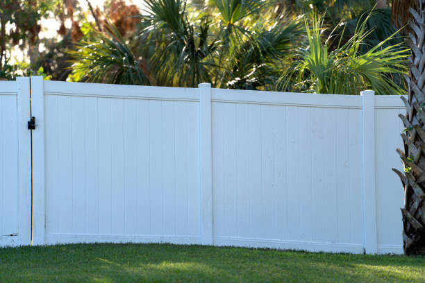 istock White plastic fence for back yard protection and privacy 1487133826