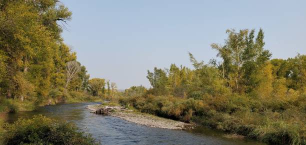 istock River in Curecanti National Recreation Area Colorado 1487136511