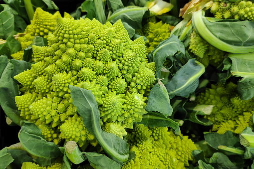 Full frame close-up on a stack of romanesco broccolis for sale on a market stall.