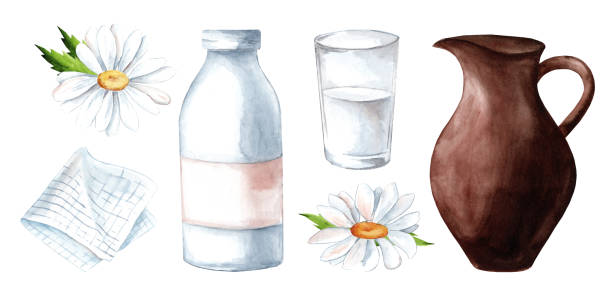 кувшин для молока, стакан молока, ромашка - chamomile plant glass nature flower stock illustrations
