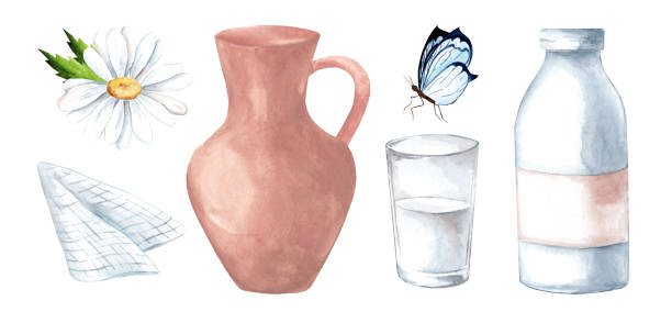 ilustraciones, imágenes clip art, dibujos animados e iconos de stock de jarra de leche, vaso de leche, manzanilla - chamomile plant glass nature flower